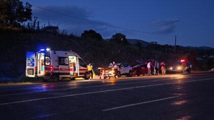 Bingöl’de ineğe çarpan otomobildeki 1 kişi yaralandı