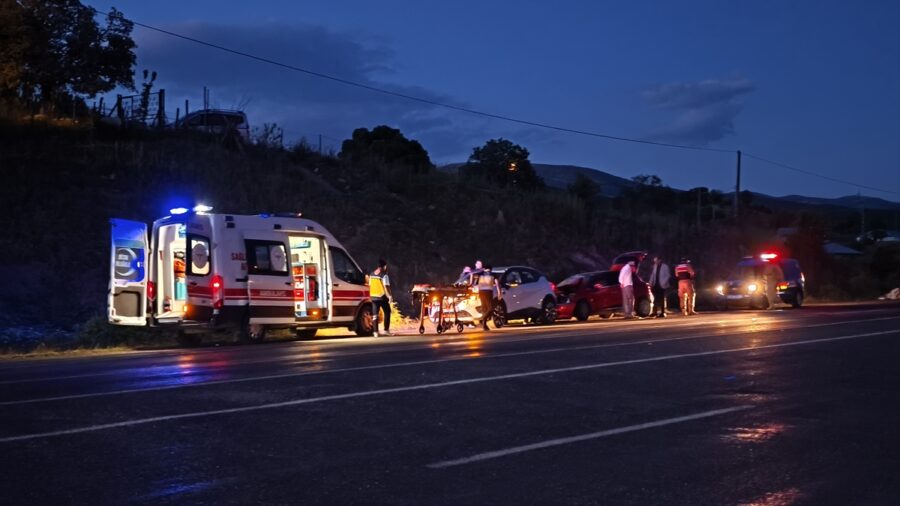 Bingöl’de ineğe çarpan otomobildeki 1 kişi yaralandı