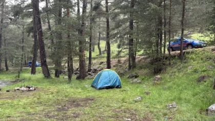Bolu’da Ağaca Yıldırım Düştü, Üç Kişi Yaralandı