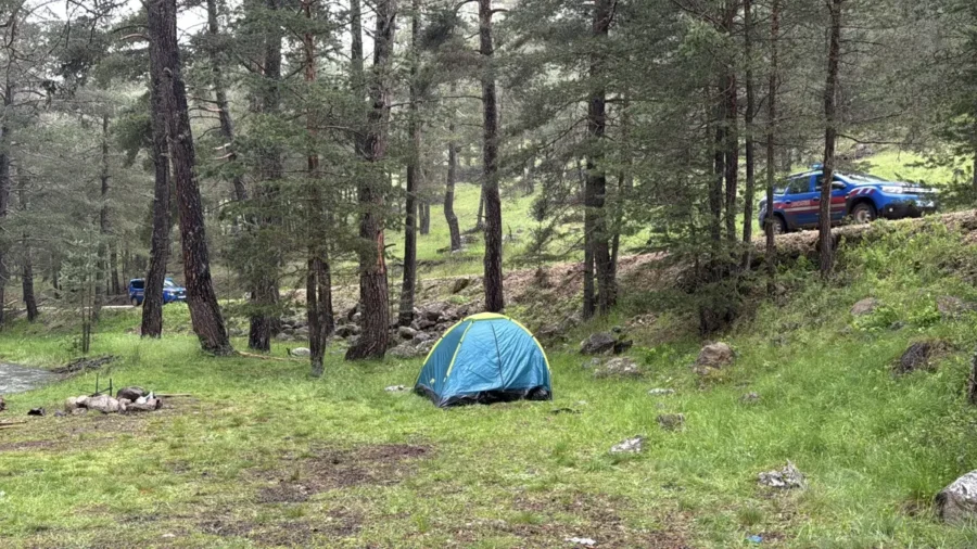 Bolu’da Ağaca Yıldırım Düştü, Üç Kişi Yaralandı
