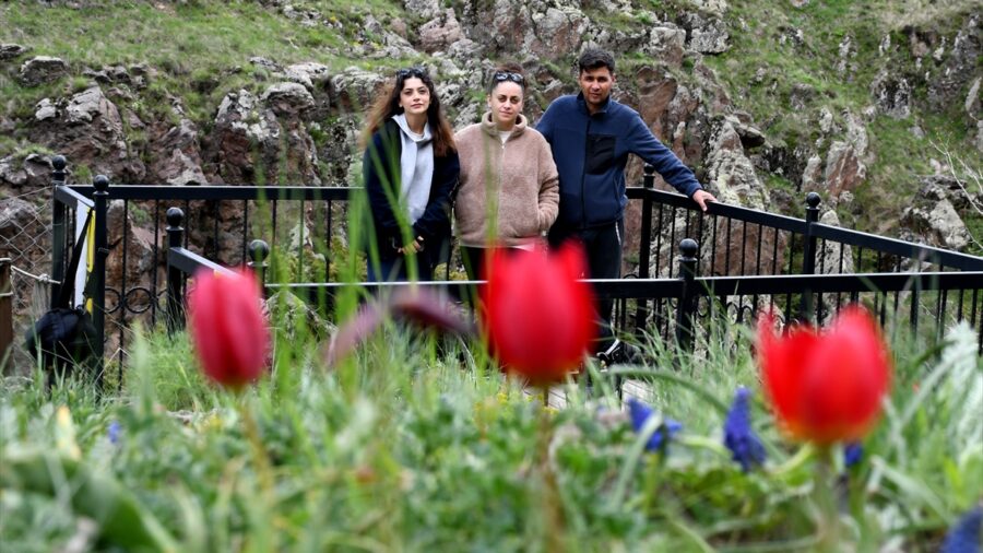 Sarıkamış’ta Ekoturizm Alanı rengarenk çiçeklere büründü