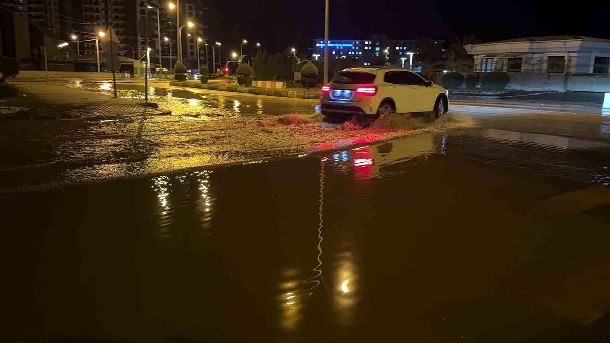 Devlet Bahçeli Haberleri - Devlet Bahçeli Kimdir - Haberler