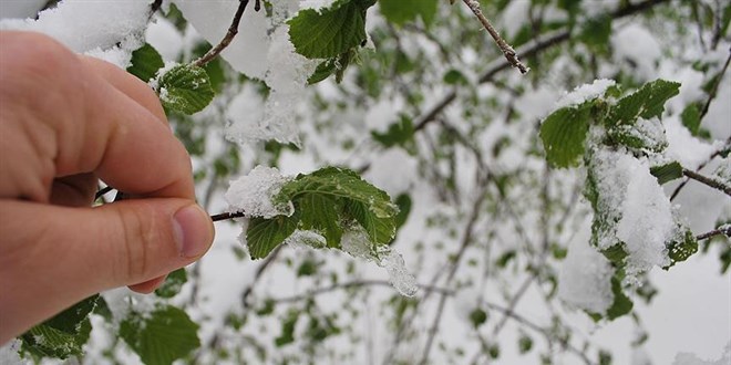 BakanlÄ±ktan zirai don uyarÄ±sÄ±: 7-11 Nisan tarihlerine dikkat!