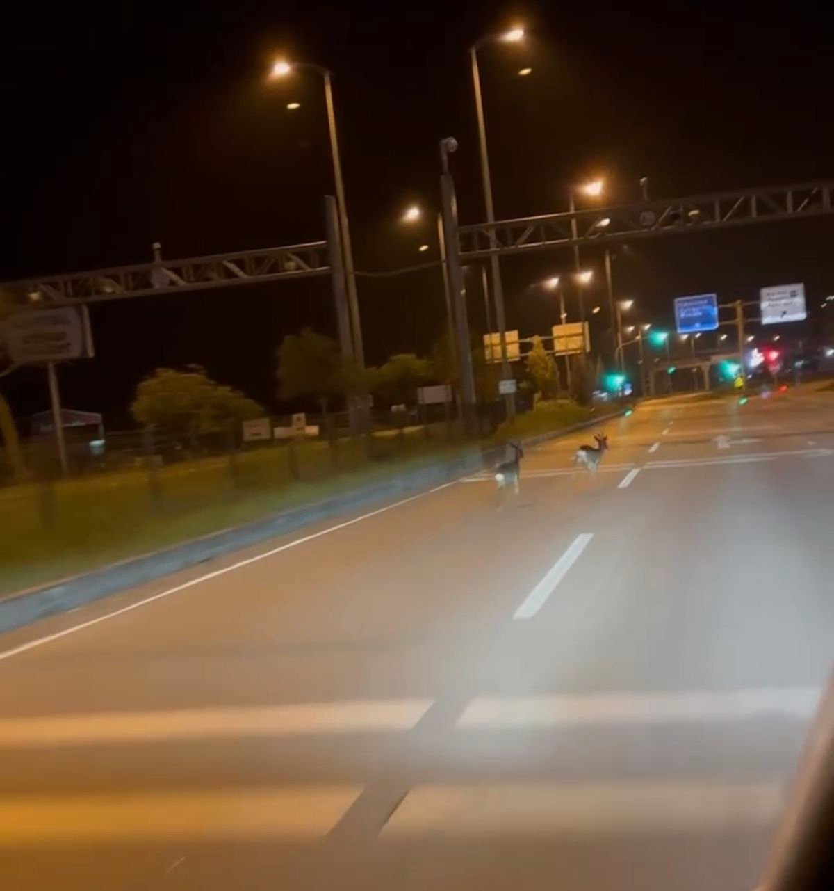 Bartın Haber, Bartın Son Dakika Haberleri - Haberler