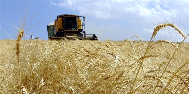 YÃK BaÅkanÄ± duyurdu: Ãniversitelere yeni programlar aÃ§Ä±lacak