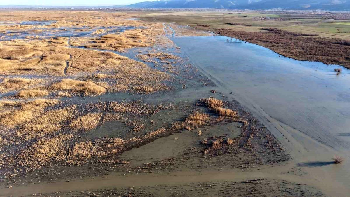 Akşehir Gölü'nde yıllardır görülmeyen oldu