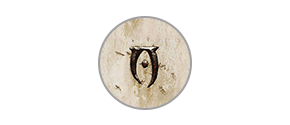 The Elder Scrolls IV Oblivion - İcon