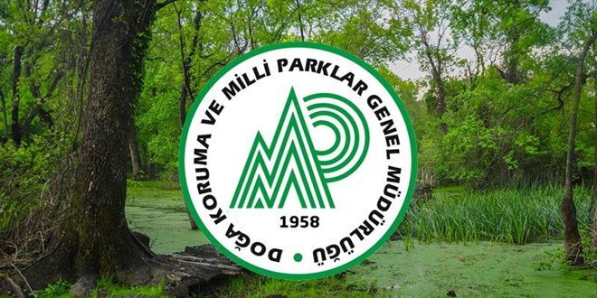 DoÄa Koruma ve Milli Parklar Genel MÃ¼dÃ¼rlÃ¼ÄÃ¼ 240 personel alacak