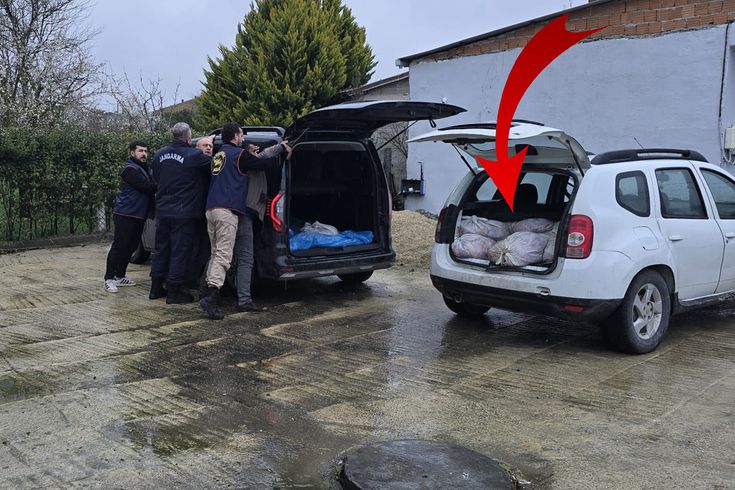 İstanbul'da skandal: Satışa hazır 306 kilo at eti ele geçirildi