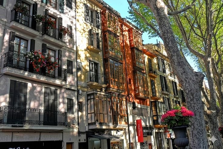 Kiracılar kazan kaldırıyor! Çağrı yapıldı, kimse 1 TL bile ödemeyecek