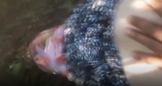 Anadalo yollarında anadolu havasında daha doğru aslında seks tarlada seks yapıyorlar domaltmış yazmalı gelini amına çakıyor ! – İzle | Türk İfşa Life