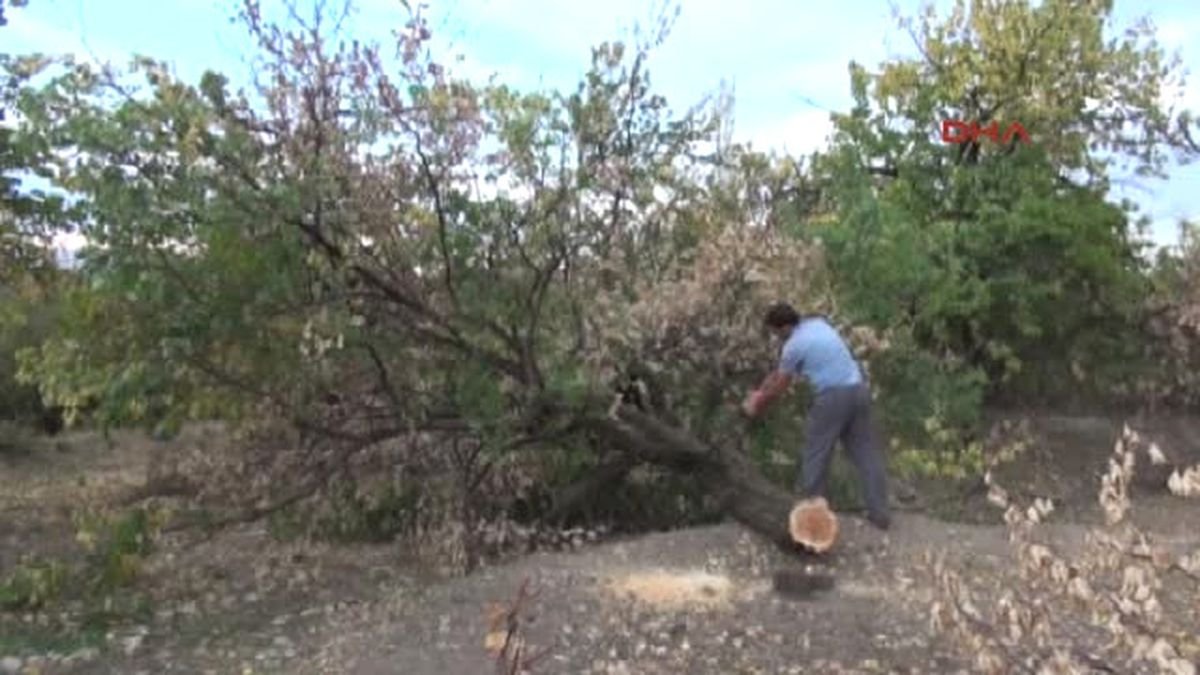 Ali Balta Haberleri - Ali Balta Kimdir - Haberler