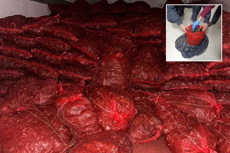 Halk sağlığını hiçe saydılar: 10 ton kaçak midye ele geçirildi