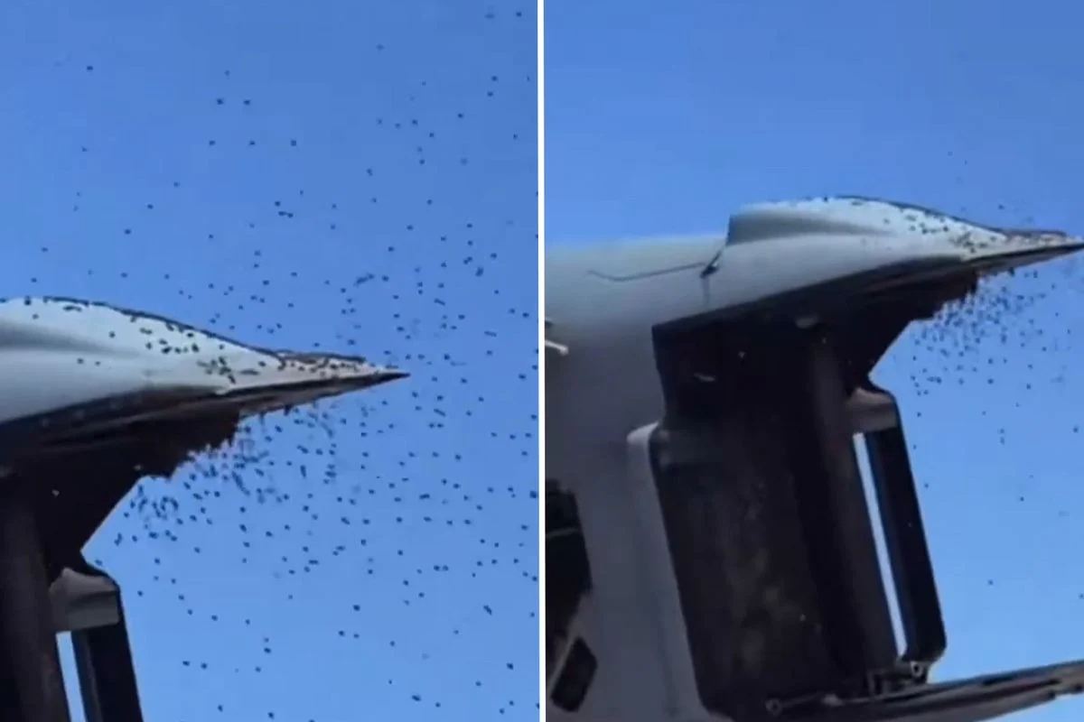 Dünya Haber - Dünya Haberleri - Haberler