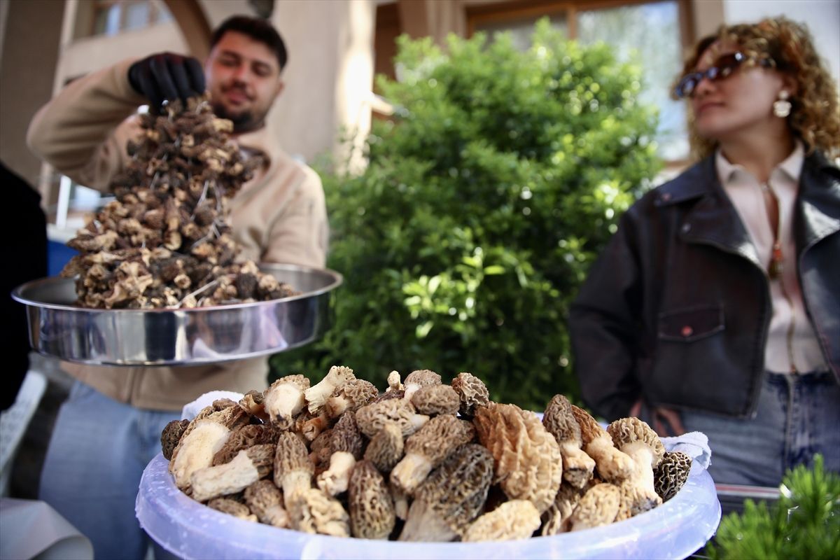 Gastronomi Haber - Gastronomi Haberleri - Haberler