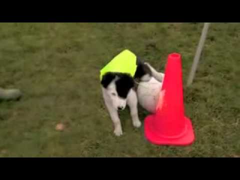 Football Manager 2005 Türkçe Yama | Turkce-yama.com