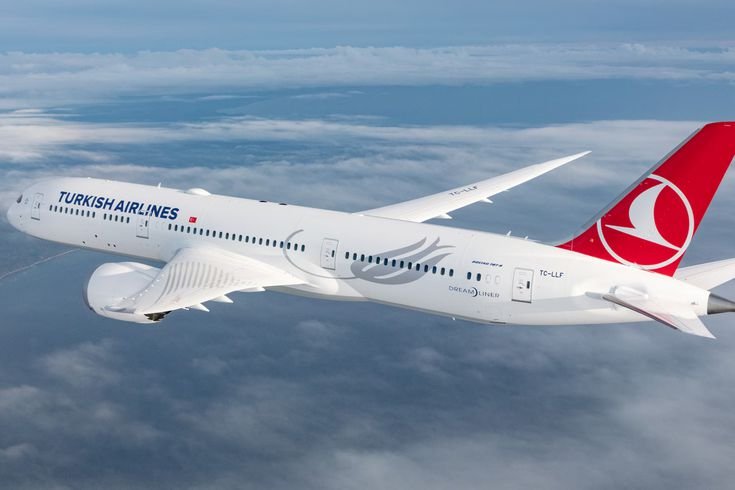 THY'de yönetim kurulu başkanı ve genel müdür değişti